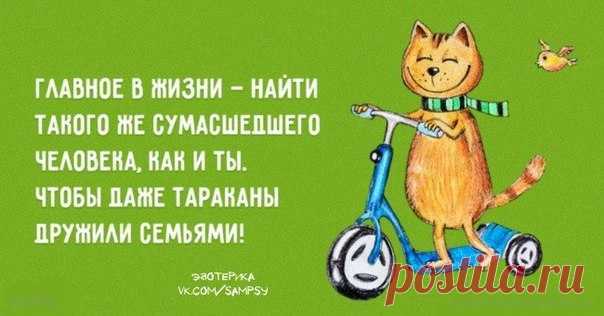 Волшебного вам воскресного денька!!!Доброе утро, друзья!!!