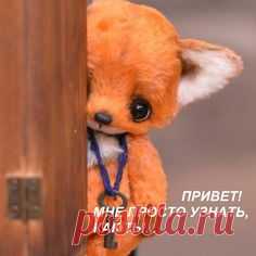 Привет- здрасте.