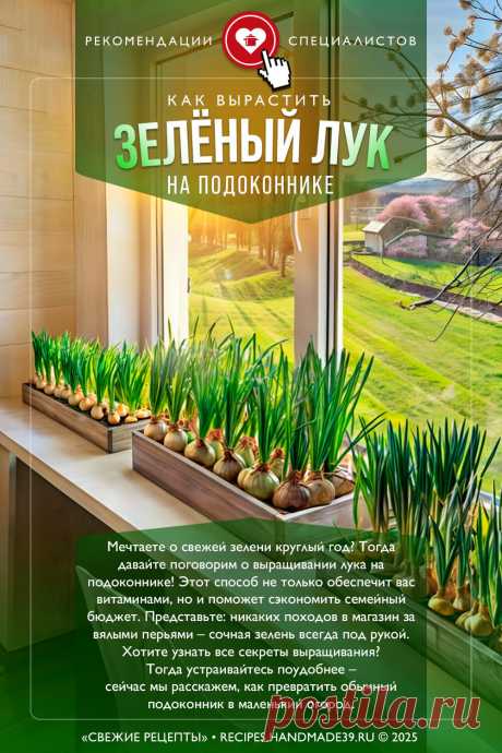 Зелёный лук на подоконнике, выбор сорта лука, как правильно посадить лук в домашних условиях, как ухаживать за зелёным луком, как срезать луковые перья. Огород на подоконнике. Свежая зелень. Вегетарианство. Здоровое питание. #свежиерецепты #зелёныйлук #свежаязелень #лукнаподоконнике #вегетарианство #правильноепитание

Понравился пин? Пожалуйста, ставьте лайки 👍, подписывайтесь ✍️, оставляйте любой комментарий, делитесь публикацией – это очень важно для нас, спасибо!