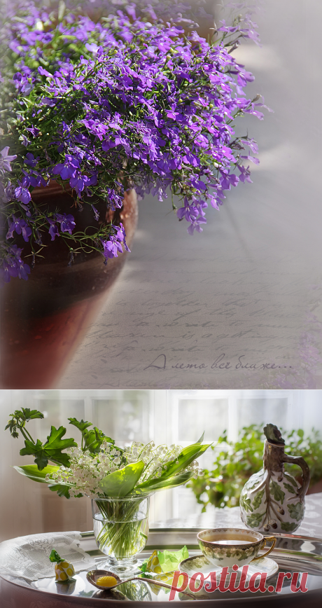 Мир наполнен радостью, нужно просто впустить её в свою жизнь!