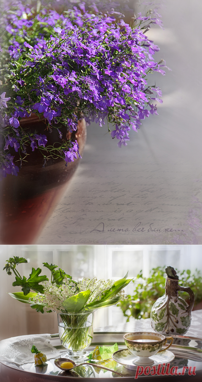 Мир наполнен радостью, нужно просто впустить её в свою жизнь!