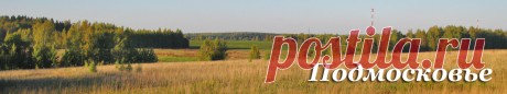 Чернушка (груздь черный): идеальный гриб для засолки