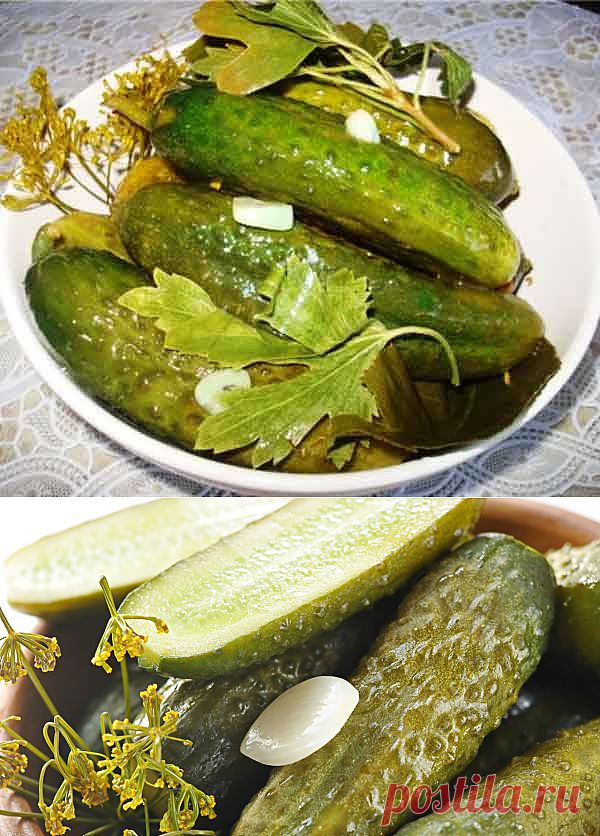 Для заготовки огурцы консервируют, маринуют, солят и даже варят из них варенье.ОГУРЦЫ КОНСЕРВИРОВАННЫЕ (ТРЕХКРАТНАЯ ЗАЛИВКА)
Не всякие огурцы годятся для консервирования. Выбирайте молодые, твердые, ярко-зеленые и перерабатывайте их сразу же, как купите или снимите с грядки.
В домашних условиях эффективно консервирование способом трехкратной заливки.