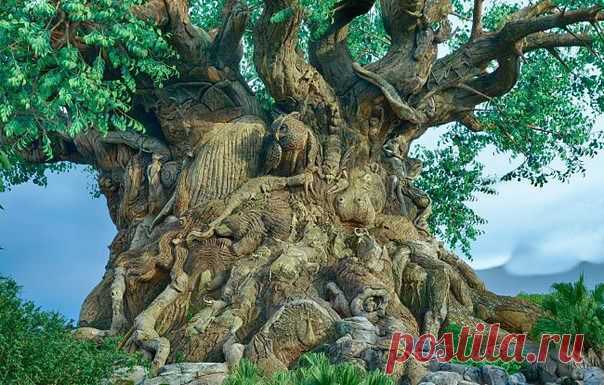 getImage (604×385)