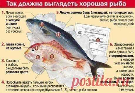 Интересные новости