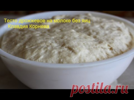 Тесто дрожжевое на молоке без яиц для булочек пирогов пирожков и беляшей