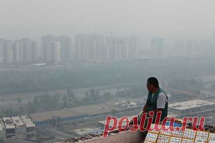 Дымка от лесных пожаров в Сибири окутала Монголию. Смог от пожаров, которыми охвачены леса в Сибири, достиг Улан-Батора. Об этом сообщило агентство «Синьхуа» со ссылкой на Институт метеорологии и мониторинга окружающей среды Монголии. По данным федеральной Авиалесоохраны на 4 августа, в России зафиксировано 211 лесных пожаров на площади 986,6 тысячи гектаров.