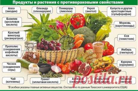 Прислала зам. онкоцентра после конференции по профилактике рака СКАЖИ &quot;НЕТ!&quot;: Кликайте на фото, чтобы прочитать ⤴
