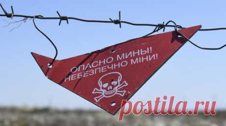 Politico: ВСУ не хватает мин и военных для выстраивания новой линии обороны. Украинским войскам не хватает мин для возведения новых защитных рубежей и военных для удержания этих позиций, говорится в статье Politico со ссылкой на бывшего высокопоставленного полевого командира. Читать далее