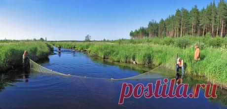 Бредень – рыболовная снасть | Все о рыбалке | Яндекс Дзен