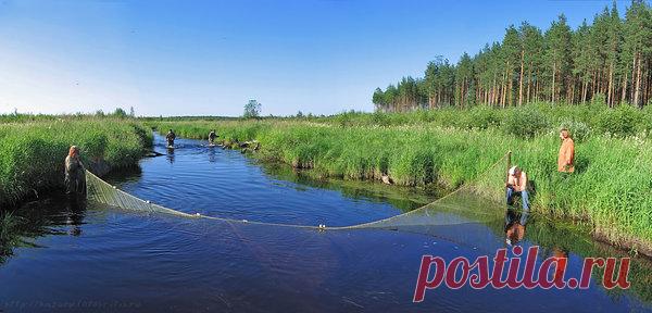 Бредень – рыболовная снасть | Все о рыбалке | Яндекс Дзен