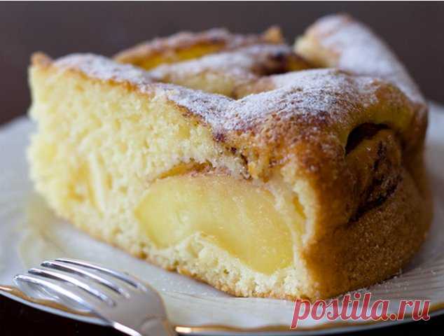 Шарлотка с яблоками – лучший рецепт и история десерта / Простые рецепты