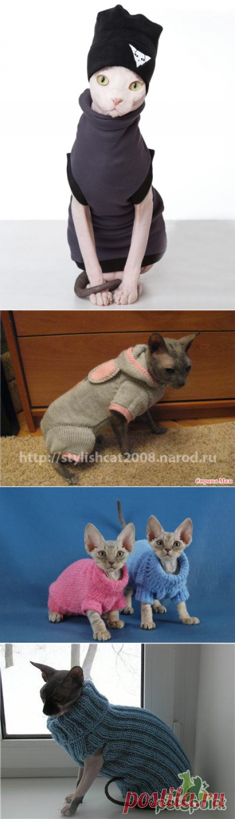 выкройки кошкам одежды