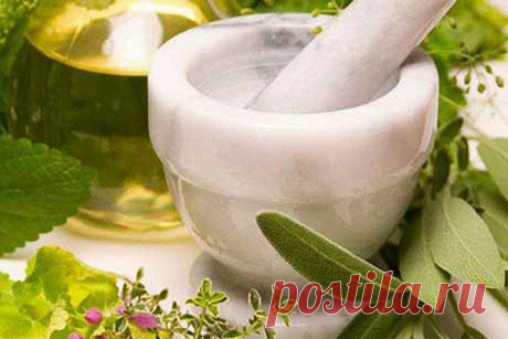 Лечение маслом чайного дерева бородавок и герпеса