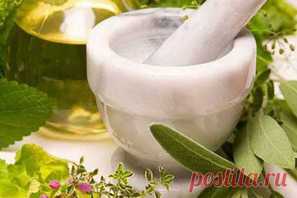 Лечение маслом чайного дерева бородавок и герпеса