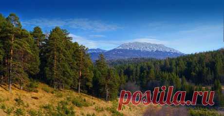 Флария )
Россия, Россия