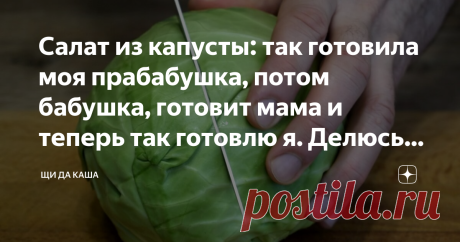 Салат из капусты: так готовила моя прабабушка, потом бабушка, готовит мама и теперь так готовлю я. Делюсь рецептом