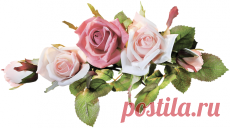 разные красивые детали на прозрачном фоне: 19 тыс изображений найдено в Яндекс.Картинках