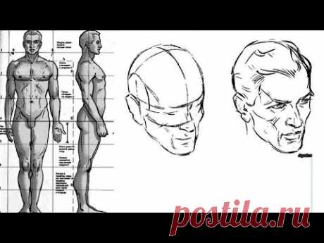 КАК нарисовать ЧЕЛОВЕКА. Пропорции ТЕЛА и ГОЛОВЫ