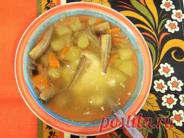 Щи со снетком. Рецепт русской кухни - Супы