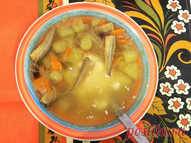 Щи со снетком. Рецепт русской кухни - Супы