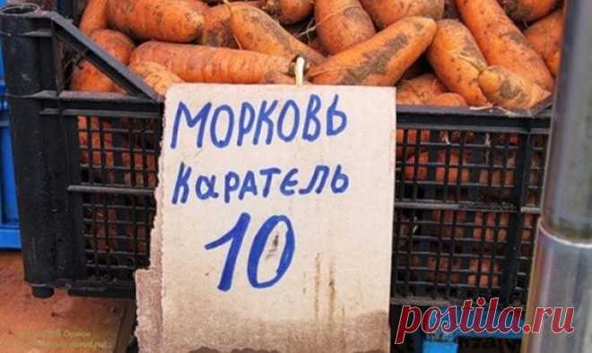 Ценники из магазинов, которые заставят вас рыдать Людям, которые внимательно читают ценники и надписи в магазинах, возможно, многие из этих казусов не покажутся интересными. Тем не менее большинство из этих ценников как будто сошли со страниц какого-...