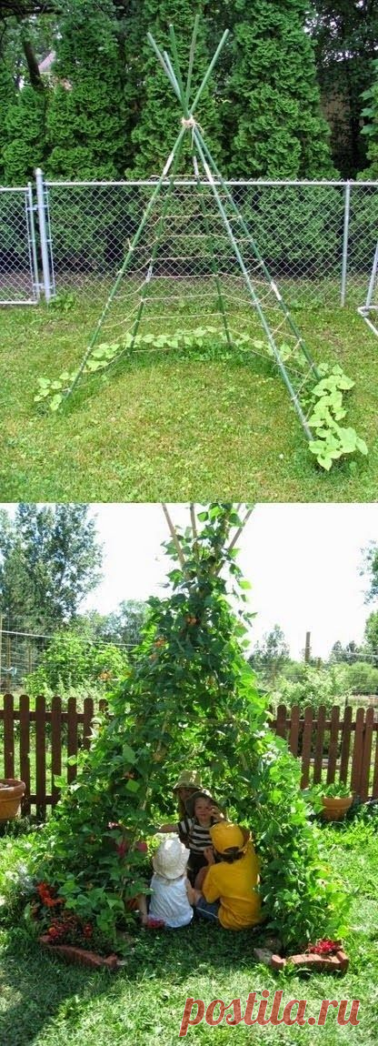 (11), Pinterest