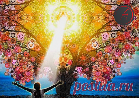 Несколько идей, которые могут помочь сохранить финансовое благополучие | Инвестиции без ума | Яндекс Дзен