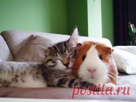 (35) Facebook