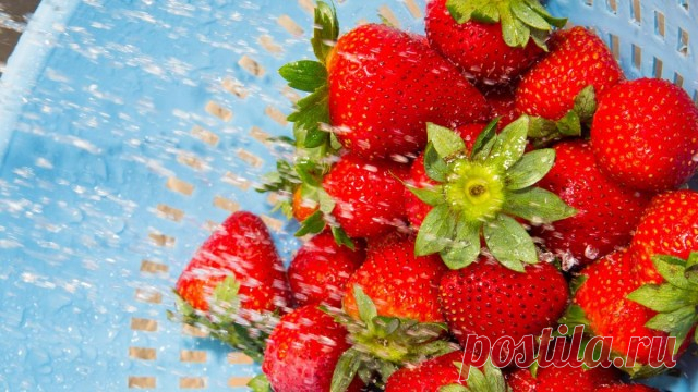 10 правил качественной заморозки ягод и фруктов