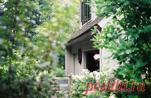 Без заголовка