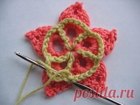 (5) Elifce Örgüler