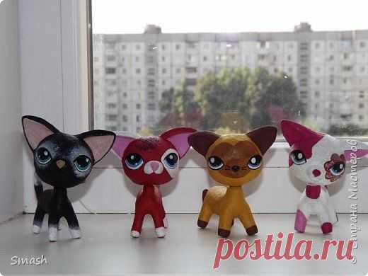 Забавные котики | Страна Мастеров