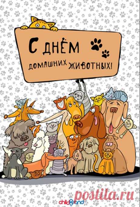Всемирный день домашних животных 2017 - Хвостатые байки