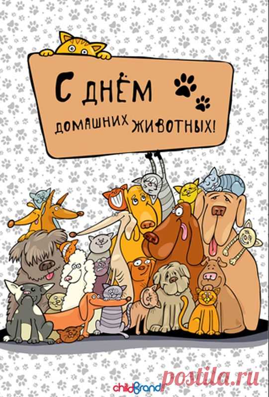 Всемирный день домашних животных 2017 - Хвостатые байки