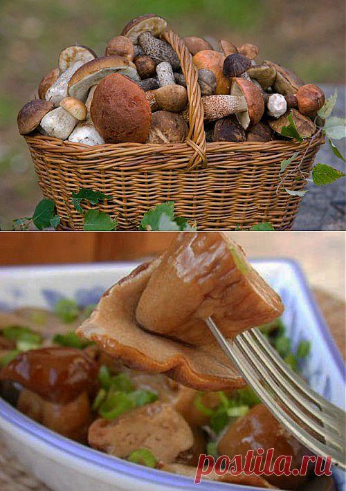 Маринованные грибы: 5 лучших рецептов / Простые рецепты