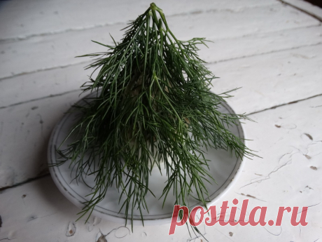 Оригинальная грибная закуска. Если паштет остается, его можно использовать, как масло для тостов.