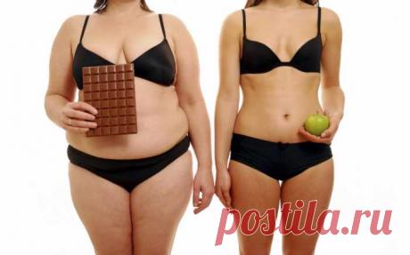 Варианты питания для снижения веса — ДОМАШНИЕ