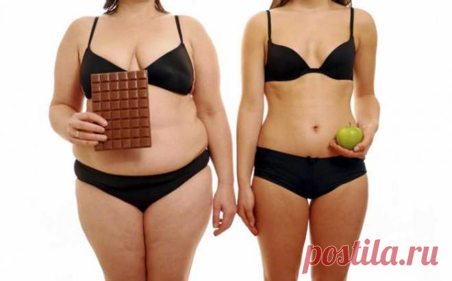 Варианты питания для снижения веса — ДОМАШНИЕ