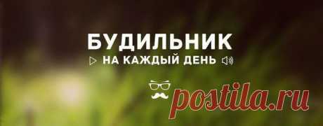 Маргарита Петлина