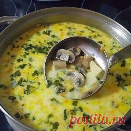 Самый вкусный грибной сливочный суп! Сочетание сливок, плавленого сыра и грибов — так вкусно, просто пальчики оближешь.

Ингредиенты:
шампиньоны — 200 грамм;
картошка — 2 штуки;
сливки (можно молоко) — 100 грамм;
морковка — 1 штука;
сырок плавленый — 70-100 грамм;
лук репчатый — 1 штука;
укроп — 1 пучок;
соль — по вкусу; перец — по вкусу;
растительное масло для жарки.

Пошаговый рецепт:

Чтобы готовить грибной сливочный суп, сначала необходимо вскипятить в кастрюльке два литра воды. Пока води