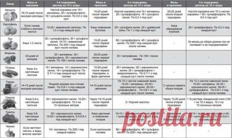_jYJRLywT5s.jpg (604×358)