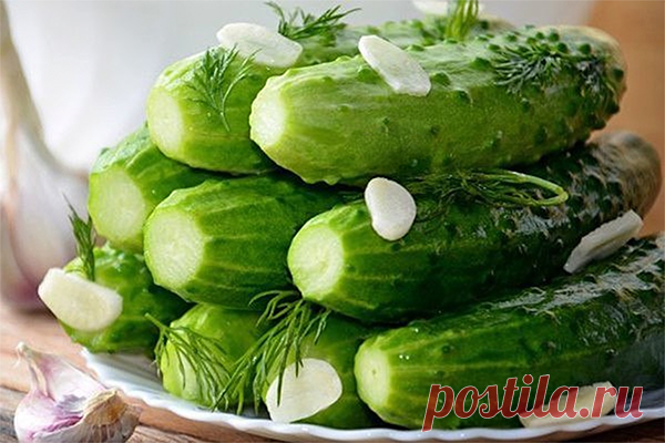 Traškūs trumpai rauginti agurkai – imkite receptą! Ingredientai:  – kilogramas nedidelių agurkų  – gazuotas mineralinis vanduo – litras  – druska – 2 valgomieji šaukštai  – česnakas – 3 skiltelės  – krapų pundelis    Paruošimas:  1. Dedame į indo dugną pusę krapų. Agurkus gerai nuplauti ir nupjauti galiukus, glaudžiai sudėti į