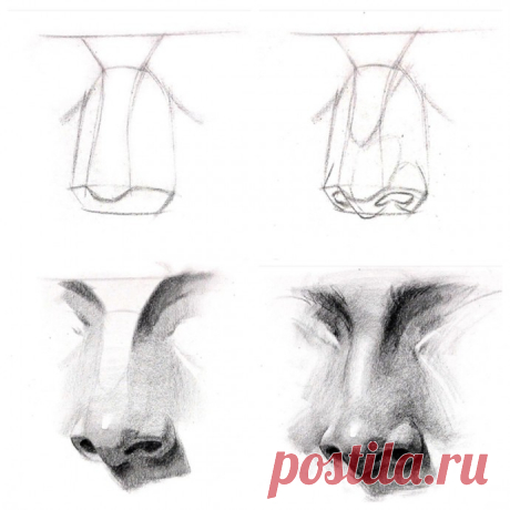 Учимся рисовать части лица