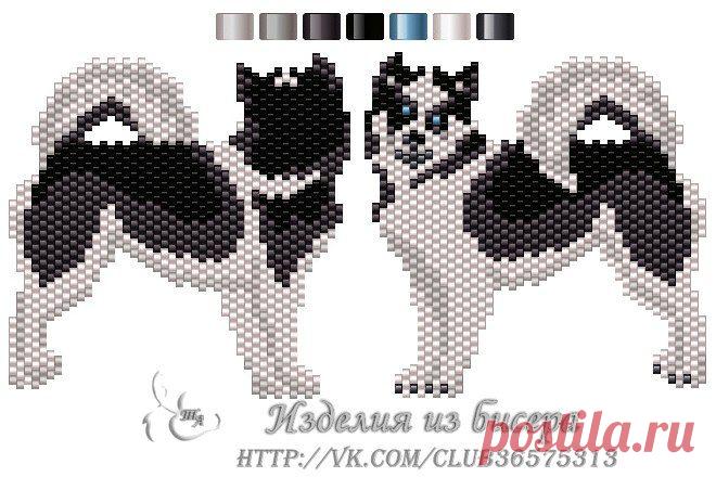 50b080e39a6c4320946149159f1b89b8.jpg (660×440)