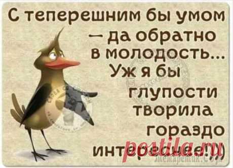 Истории и шутки для настроения Жизнь — лучший сценарист. Некоторые ситуации заслуживают отдельного внимания.
Эта подборка веселых и забавных историй подарит позитивный настрой на весь день!
Живите с юмором и пусть хорошее настроени...