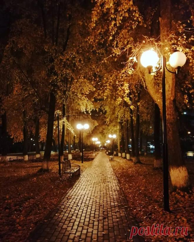 Яндекс Картинки: поиск похожих изображений