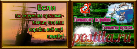 Мудрые крысы заботятся о плавучести своего корабля.
