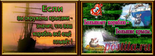 Мудрые крысы заботятся о плавучести своего корабля.