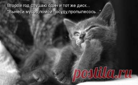 Популярные записи по теме «животные»